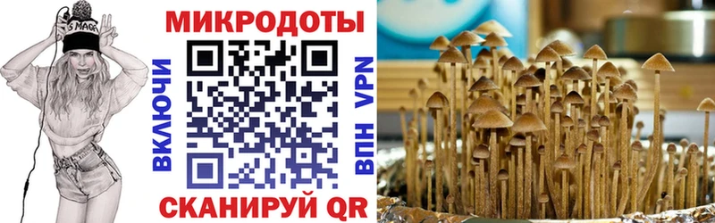 Псилоцибиновые грибы Magic Shrooms  купить   Приозерск 
