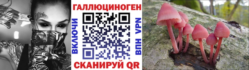 Галлюциногенные грибы прущие грибы Приозерск